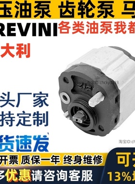 brevini齿轮泵OT100 P 11 13 58 20 16 49 26 32 43 BFP10026DSAF