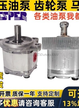 罗马尼亚HESPER齿轮油泵HA1-F-3.2/1/1.2/1.7/2.0/2.6-1199-C液压