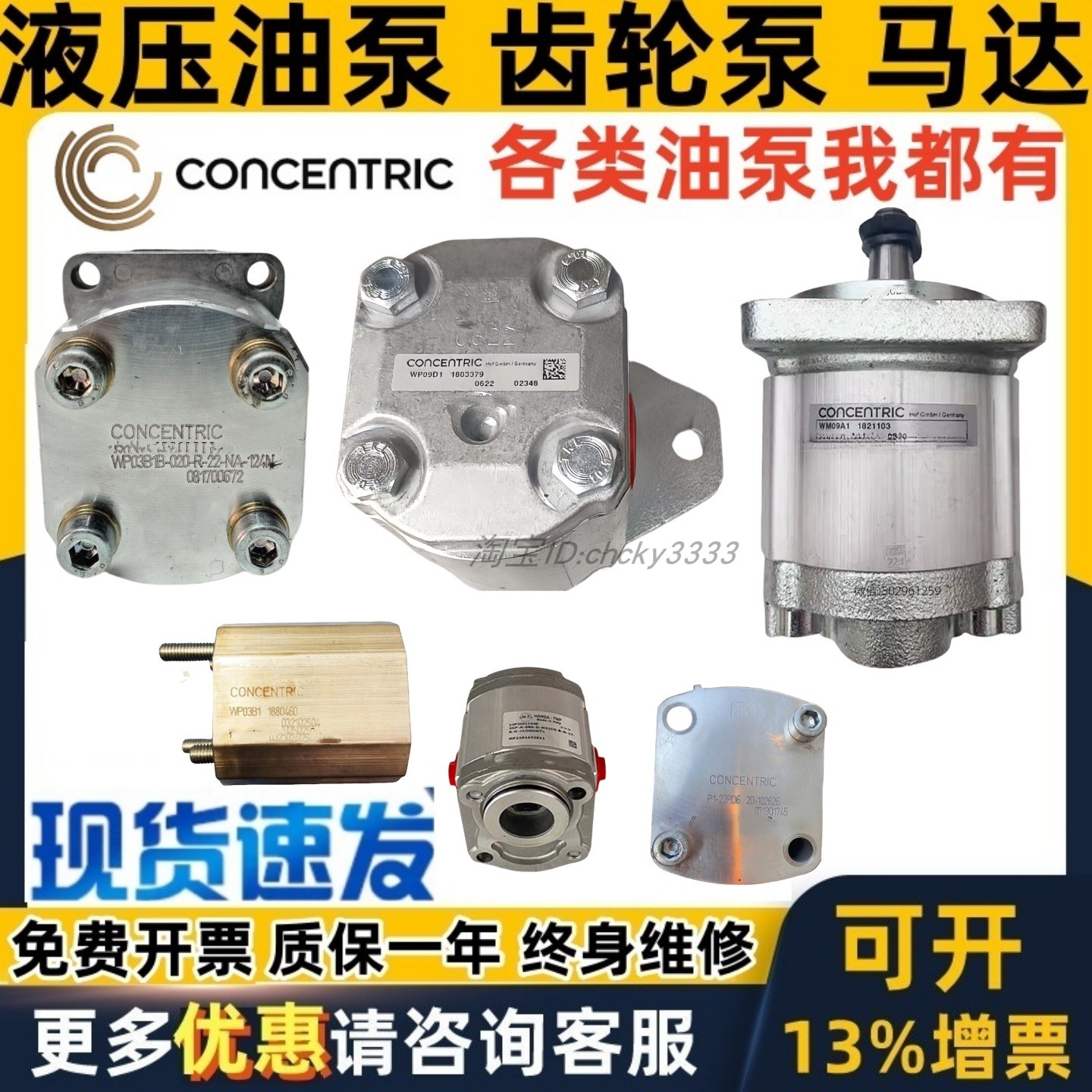 CONCENTRIC齿轮泵WP09A1B WP03B1 WP09A3 WP09 D2 A1 D1 S WP06A1
