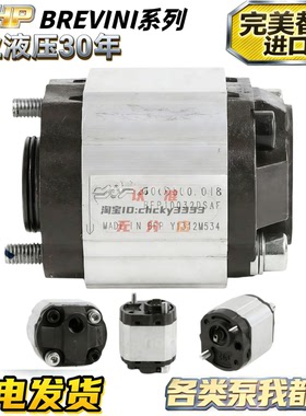 brevini齿轮泵BFP100 12 32DSAF PHC1-4.3 MH-4.2液压泵OT100 P07