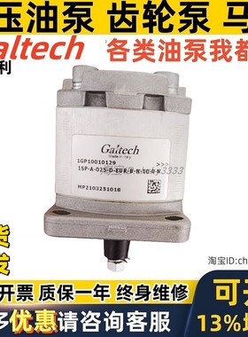 GALTECH齿轮泵1SP-A-025-D-EUR 2SP-A-080-D-EUR-B-N-10-0-N
