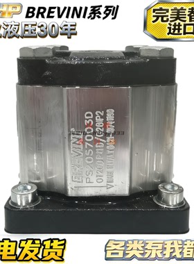 brevini泵OT200M04R/G28P2-PFM PT200P11D/G28P2-VM PS2057003D