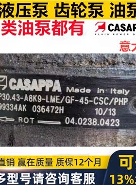 意大利CASAPPA双联齿轮油泵KP30. 19.5 22 24 27 29 34 43 /PLP20