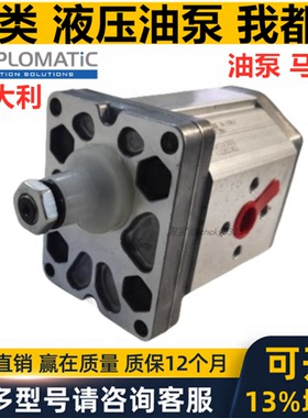DUPLOMATIC齿轮泵GP1-0041R95F20N GP3-0264R97F20N GP20095R97F2