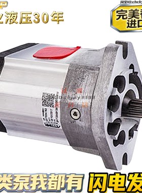 ETTIMA伺服螺杆泵G72V125FSAEDT23MDLY G47V036FSBACOEDSFV注塑机