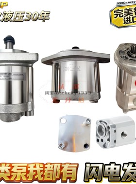 CONCENTRIC齿轮泵WK09A1B WK09A  WP03B 1B 2B 3B 4B 0 60 80 110