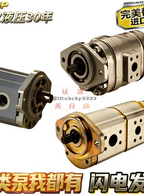 CONCENTRIC齿轮泵FT/FP/WP12 WP15 WQ09 WM09 WM06 WM15 A1 2 3 4