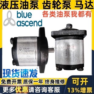 CDC701SN AP20.115.CGL01SN BLUE ASCEND齿轮泵AP20.160.CGL01SN