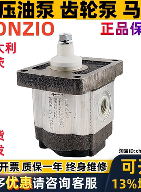 RONZIO油泵02ZAG08E034D 02ZAG08E034R 02ZCG17N438D 01ZB011F130