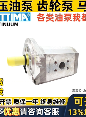 ETTIMA齿轮泵G72V101CCFSAEDACM G55V075CCFSAEBT150DL G72V175FS