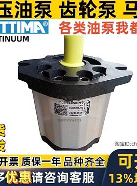 意大利ettima螺杆泵G47V050FSAEBT130DLV G55V075FSAEBT150D油泵