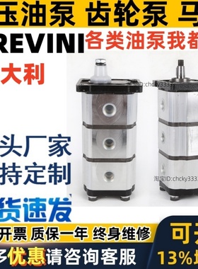 意大利BREVINI三联齿轮泵OT100P07/07/07d/g16p1 PS1307030D马达