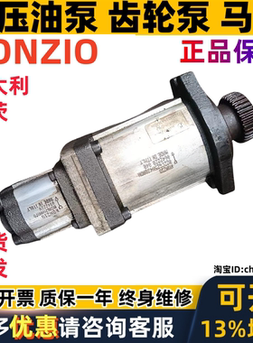 RONZIO双联齿轮泵01ZAG210001AD+01ZAG21C401AD O 01ZAG2I000IAD