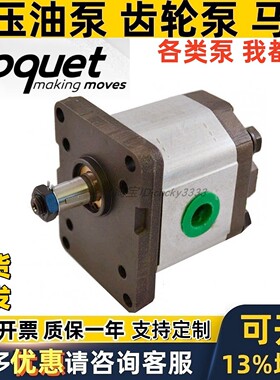 西班牙ROQUET齿轮泵1L01.5/3/5/7.5/10DP01R 1L010DP01R油泵马达