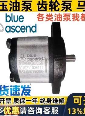 BLUE ASCEND齿轮泵AP10 APM APH DKP DPH DKM GP M R 20 30 40