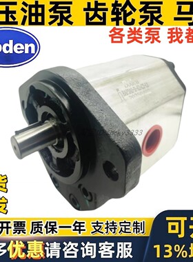 boden齿轮泵BHP3A 0D 1D BHP3AOD 26 39 50 46 63 33 C1L1 C2L2