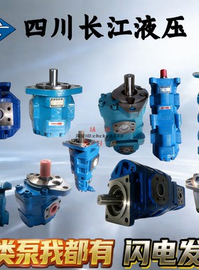 四川长江CBY3063/3080/3125/3100/3040/3050 - B1FR B2FR 1FR 1TR