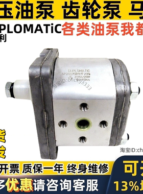 DUPLOMATIC齿轮油泵GP20 113 095 178 140 R97F20N R95F20N马达