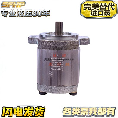 巴西REXROTH齿轮泵 R 979 035 264 005 263 029 079 R979029079