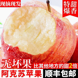 新疆阿克苏嘎啦苹果当季新鲜水果脆甜小加力整箱包邮非冰糖心苹果