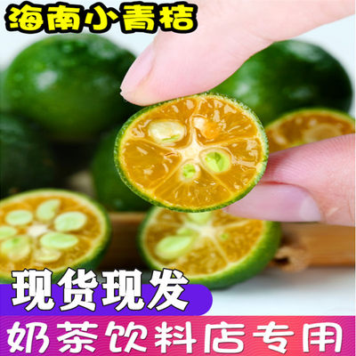海南新鲜小金桔青桔青柠奶茶店橘