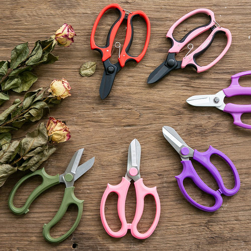 花艺插花园艺修枝专用剪刀买就送