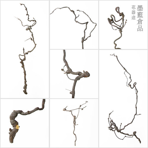 龙枣枝中日式插花材料天然干树枝侘寂风家居室内枯枝摆件造型装饰