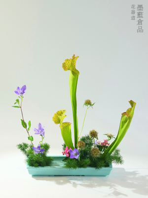 小原流长方形插花花器禅意插花器皿日式花道陶瓷花盘多肉植物花盆