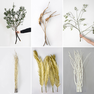 插花干枝松枝云龙柳玉兰枝老藤金苏铁小原流花道中式日式花材材料