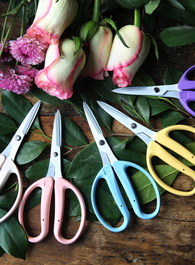 日本进口大嘴鸟丝带剪刀 永生花专用剪 插花专业剪花剪 纸剪花剪