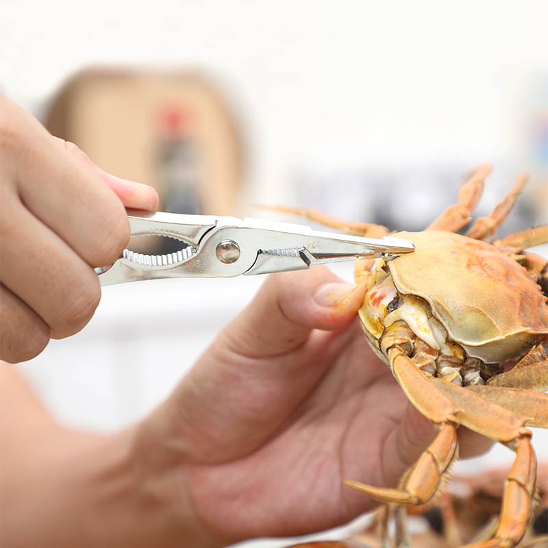 吃蟹工具2件套 剥螃蟹钳夹子大闸蟹破壳钳子 高品质合金材料