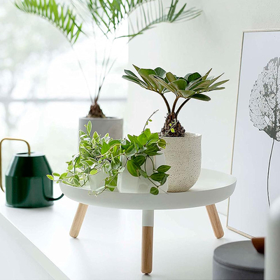 北欧简约铁艺花架绿植花盆架禅意