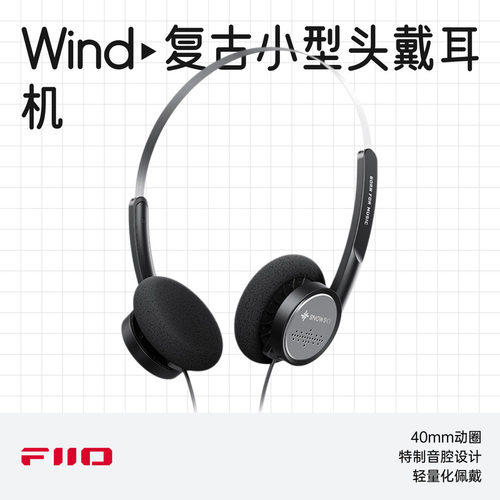 飞傲雪漫天Wind复古小型头戴耳机