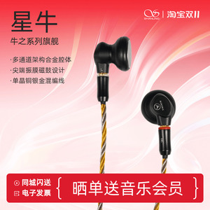 音可若瓦 RW4000星牛平头HiFi发烧平头耳机旗舰级MMCX可换线耳塞