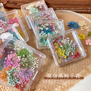 新款日系珍珠干花美甲饰品混色多巴胺莫奈花园diy小碎花指甲装饰
