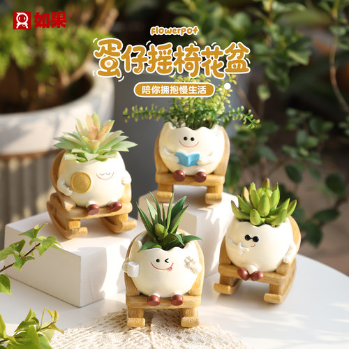 蛋仔摇椅小花盆创意多肉绿植盆栽