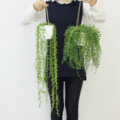 彷真植物假花屋顶挂饰房间空气悬挂掉兰盆栽空中垂吊花盆顶上装 饰