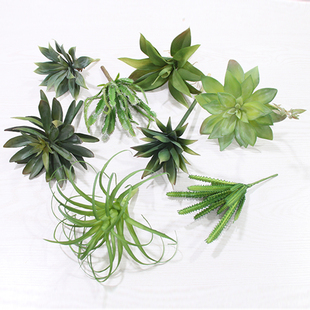 饰 高品质仿真植物观音莲空气草假仙人掌类单支多肉绿植小盆栽装