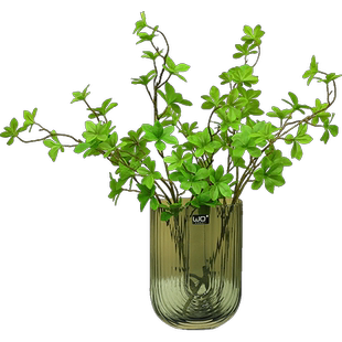 wo+北欧仿真绿色植物马醉木吊钟室内桌面花树枝叶子装饰橱窗摆设