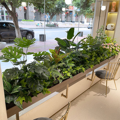 芦苇龟背叶栅栏商场仿真绿植定制