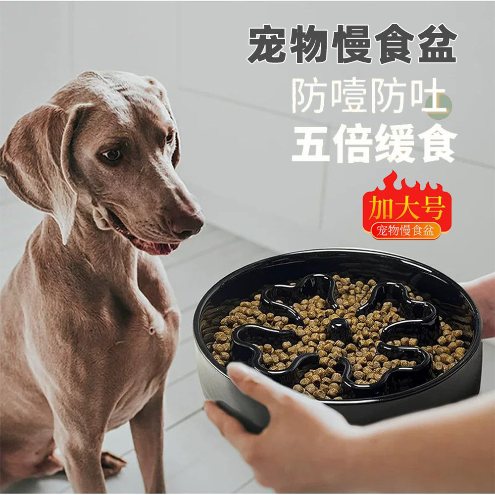 宠物慢食盆狗盆猫盆防打翻缓食盆