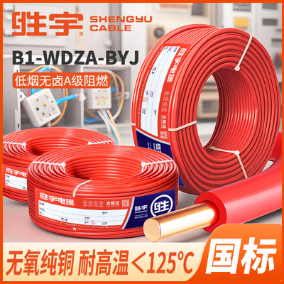 国标低烟无卤B1-WDZA-BYJ电线