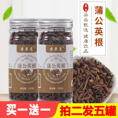 蒲公英根茶浦薄簿捕普莆甫公英野生蒲公英茶黄花地丁茶木山药