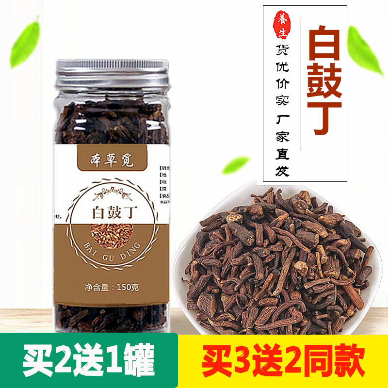 白鼓丁蒲公英红茶买2送1