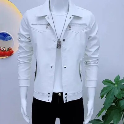 新款男士皮衣外套时尚韩版修身短款夹克翻领休闲帅气潮男爆款皮衣