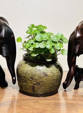 刀状黑黄檀整木一体成型吉祥如意招财进宝/大象摆件/创意礼品