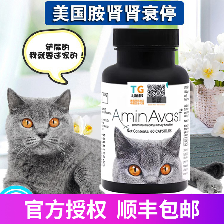 美国胺肾猫肾衰停猫狗用肾衰停活肾降磷降肌酐慢性肾衰竭猫肾病用