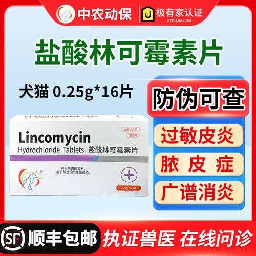 林可霉素片宠物脓皮症皮肤病消炎
