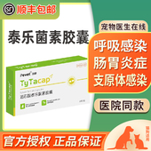 泰利维胶囊猫咪狗呼吸道感染猫鼻支炎支原体打喷嚏泰乐菌素消炎药