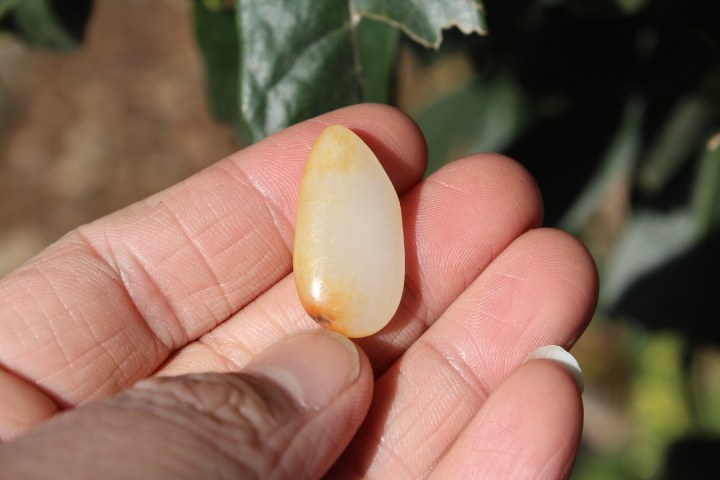 包邮新疆和田玉籽料原石小挂件吊坠项链苏州工设计 白玉红皮小料